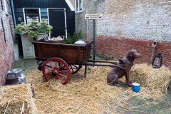 KBaltus_Midwinterfeest_2024-119